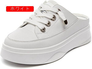 T_ fB[X ƂȂ Xj[J[ LpXV[Y Xj[J[ 傫TCY ₷ wlC JWA T{ T_ }} C ₷ ʋC ɂ