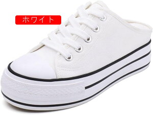 Xb| Xj[J[ ~[  D^ i[XV[Y fB[X 5CM ʋ y EhgD₷ LoX Ȃ t wlC _炩 JWA ʋC Xj[J[~