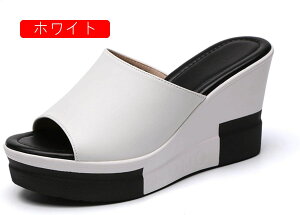 Xg[t nCq[ ~[ T_  fB[X C r EFbW\[ TCY EFbW\ p[eB  vbgtH[ ₷ ₷ V[Y \[ 9cmq