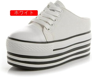 T_ ~[ fB[X ƂȂ y Xj[J[  [XAbv Xbp JWA T_ [Jbg LoXV[Y ʋC  EFbW\[ T_ 