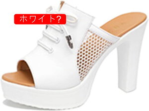 T_ fB[X bV  RtH[gT_ XbpT_ ~[ JWA Vv nCq[  OL cƃ} 傫TCY ؂ T_ r r 