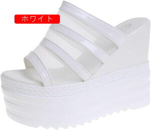 T_ fB[X EFbW\[  XgbvT_ RtH[g NbV XpR[ Xg[t t  ~[  ₷ L 11CMq[  ɂȂ