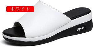 ~[ T_  fB[X C r EFbW\[ TCY 傫TCY  _炩 ₷ ₷ V[Y RtH[g 4.5cmq[  ꂢ ig