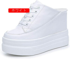 ~[ fB[X V[Y  EFbWq[ Xj[J[ T_ [XAbv  U s LoXV[Y y ʋC 芴  Vv rXbp JWA~