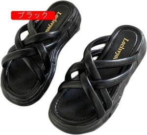 T_ ~[ q[ EGbW\[ 킢  fB[X Vv  ʋC Ȃ r ₷ Ȃ ItBX ʋ I[vgD 傫TCY ~