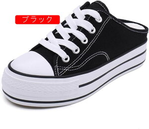 Xb| Xj[J[ ~[  D^ i[XV[Y fB[X 5CM ʋ y EhgD₷ LoX Ȃ t wlC _炩 JWA ʋC Xj[J[~