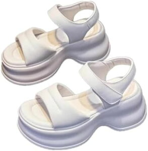 X|[cT_ fB[X T_ X|T T_ Xj[J[ T}[T_  T_ V[Y EFbW\[  t JWA ʊw ʋ