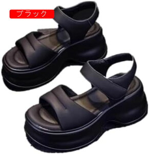 X|[cT_ fB[X T_ X|T T_ Xj[J[ T}[T_  T_ V[Y EFbW\[  t JWA ʊw ʋ