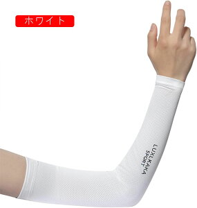 A[Jo[ ėp Y fB[X w|^Cv rJo[ A[X[u ڐG⊴ UV΍ Xgb` N[ Ă~ Oh~ jp  AEghA TCNO oCN