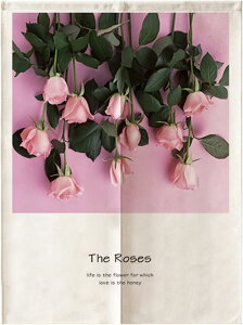 ̂ g [t Vv  J[ Ԏd؂ ډB hЉH zCg [tXJC J[e k 65*90 ډBJ[e  킢  d؂ Eߏ ς莮