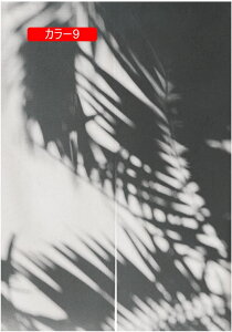 ̂ t [t k Ռ hA 75*150 g ˂莮J[e  gC JtFJ[e Xp d؂ Ռ J[e Ԏd؂ ډB [ g[Abv  J[ C