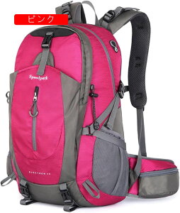 oRbN 40L oRobO e obNpbN h bNTbN UbN [ y ʋC jp @\ Lv h s nCLO AEghA