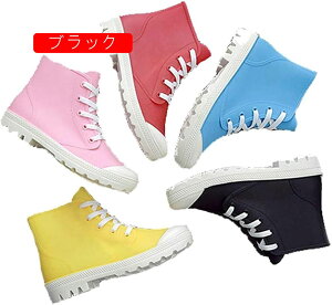 CV[YV[gu[cXj[J[fB[XCu[chCJC[XAbvV[YnCJbg~߃\[ʊw