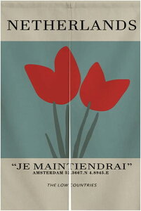 JtFJ[e hJ ԕ 킢 t   J[e J[  ꂢ  ډB Lb` ʏ 110cm×75cmȃGl 􂦂 140×70cm O[ 1 