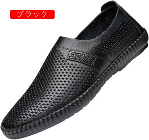 T_ [t@[ Y rWlXT_ X|[cT_ Xb|  ʋC  Ȃ  ~ ₷ C JWA T}[ oR ʊwʋ h