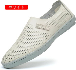 T_ [t@[ Y rWlXT_ X|[cT_ Xb|  ʋC  Ȃ  ~ ₷ C JWA T}[ oR ʊwʋ h