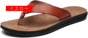 gOT_ @t Y v r[`T_ 傫TCY ʋC ėp RtH[g ItBX Xbp rWlX Xgbv  _炩 p JWA ʋC NbV j 