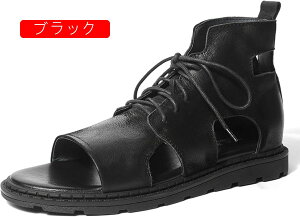 OfBG[^[T_ ėp nCJbg Y {vT_ ҂ݏグ U[T_ am {v [}T_ JWA r[`T_ JWA ɂ z hL 