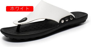 r[`T_ Xbp r[T Y gOT_ h U[ ₷ Ȃ É ϋv  i o Op p [V[Y t@bV  