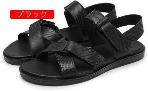 T_ Y X|[cT_ r[`T_ 傫TCY IV }WbNe[v Ȃ  ɂ ₷ C JWAT_ ėp EH[LO ʊw 