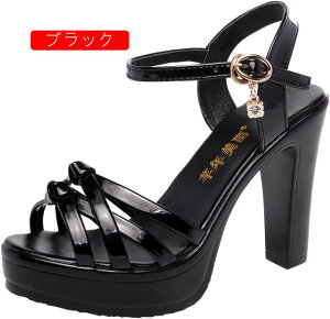 q[ 10cm Lo pvX T_ nCq[ 傫TCY `L[q[ T_ Lo T_ I[vgD T_ ɂȂ C TCY 񎟉  Ӊ