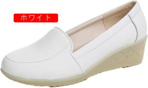 i[XV[Y zCg pvX EhgD EGbWq[ pvX fB[X ꂢ wlC [q[  ₷ ~ 傫TCY TCY ʋ d 