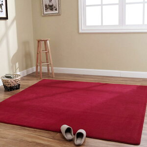 �J�[�y�b�g ���O 160*230cm �􂦂� ����~�ߕt �h�_�j ���C�����b�h �R�� �h�L �h�� �|���Ղ� �z������ �t �� �H �~ ���g�[ �z�b�g�J�[�y�b�g�Ή� �ӂ���Ǝ�G�� �D���� �O�~ ���O�J