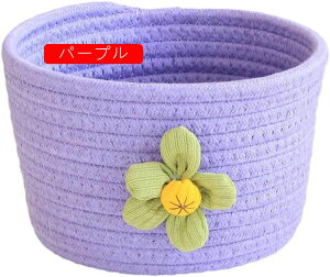 TCY [oXPbg [ 󂩂  [voXPbg Rbg[voXPbg lCr[  [ i` [ Cpc[ [ Ce