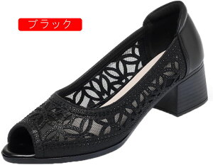 pvX nCq[ fB[X d ItBX Xb| q[ pvX {v r Vv t  l ꂢ ZNV[ T_ q[ 5.5cm ₷ Ȃ 