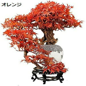 lH lHJGf̗t~̖͂؃tFCNA^tFCNȂZ~bN|bgƂ̑ lHϗtA