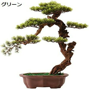 lHϗtA lHIȏ̖~̖͂؂̋UTK[f̔A̐ẢƂ̃ItBX̃fXNgbṽrO[̑Ag25.98C` lH~