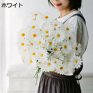  CeA J~[ fCW[ ͂Ȃ A[gt[ ̓v[g Mtg 킢 j   X iX  p[eB[ a ԑ 蕨̉ lHϗtA