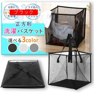 JS ܂ݎ h[oXPbg bVf [ t h[obO y {bNX ^щ\ (1i ubN)