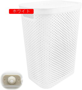 h[oXPbg t^t 60L [{bNX 󂩂 e LX^[t y ړNN  k zCg/O[ {戵t (zCg)