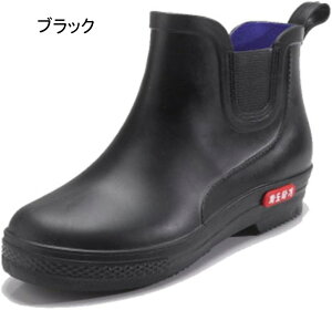 Cu[c C JC Y y y V[g ~h v[g Xm[u[c AEghA K[fjO  ʋ ʊw ɂ ₷  jp  GA