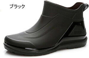 CV[Y JC Y AEghA V[g Vv TChSA ZC Cu[c h Ȃ 䕗 QJ J C ƌC V[g u[c 킢 h r y q[