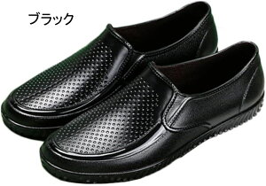 CV[Y CXb| CXj[J[ Y Xb| Cu[c o[V[Y [Jbg Xj[J[ Sh SC JC Jp ʋΗp ʊwp K[fV[