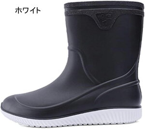 C V[Y Y j Cu[c  K y hV V[gu[c C V[Y JC ~ 傫TC Jp ~J΍ | 䕗łΉ Vv ʊw ʋ