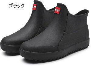 V[g Cu[c CV[Y fB[X h Xb| JC [Jbg h 傫TCY [NV[Y  _ƌC _炩 ₷ ƒ؉ ~[C ƌC ʋ IV