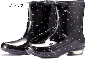 CV[Y fB[X C JWA ₷  y Cu[c  q[ h h o[ C V[gu[c Cu[c Vv Xm[u[c ~J΍ O