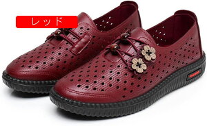  C VjAV[Y fB[X  L O JWA wlC LȂȂ y _炩 ₷ ɂ V[Y ̓ Mtg g   傫TCY 2