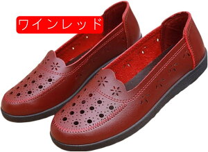  C VjAV[Y fB[X  L O JWA wlC RۖhL y K ₷ ɂȂȂ ~ V[Y hV̓ t@bV  傫TC