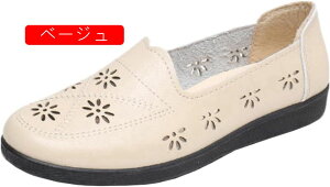 V[Y p  Oo ₷ E₷   wlC RۖhL y K ɂ Ȃ VjAV[Y L JWA ʋ ̓ Mtg 傫T