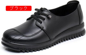 tH wlC VjAV[Y fB[X n  _炩 K ~ ₷ Ȃ ₷ ݃V[Y C p L y o v[g ̓ hV̓