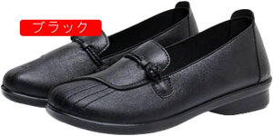 tH wlC VjAV[Y p Mtg ̓ hV̓ a C o  H n  nrV[Y _炩 K ~ ₷ ₷ Ȃ