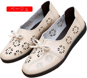  C fB[X VjAV[Y  RۖhL y _炩 ₷ ɂȂȂ ɂ V[Y wlC L JWA O   ԕ  傫