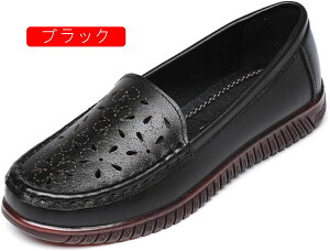  C ₷  X^CbV  tďH wl y RtH[g ɂ ~ E₷ [t@[ L JWA o hV̓ Mtg 傫T