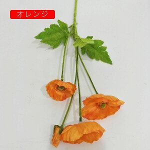  |s[ A[gt[ ͂Ȃ ΃PVԑ A lHA tFCNt[ 2{Zbg EFfBOu[P   u  fR[V CeA Be