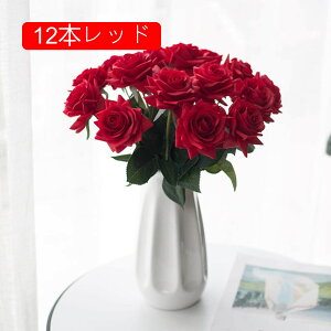  CeA RbgpCR[ 1{ zCg ͂Ȃ A[gt[ ̓v[g Mtg 킢 j   X iX  p[eB[ a ԑ 蕨