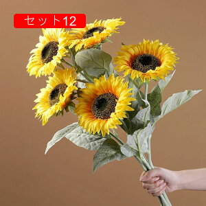  CeA  Ђ܂ ԃZbg tFCNt[ lH z Y k  Vzj ]j JXj z[ X e[u er u  t[A